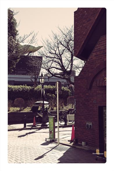 a Photograph of a random corner and street in Asakusa, near the Sumida river.  You can see a bit of the Asahi beer garden building behind a tree in the background.  There is a a brick building on the right, taking up most of the right third of the frame.  The photograph is toned to look like film, with the highlights being a soft peach and the shadows tinted gently warm and red.