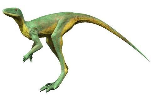Reptil bípedo con cuerpo esbelto.