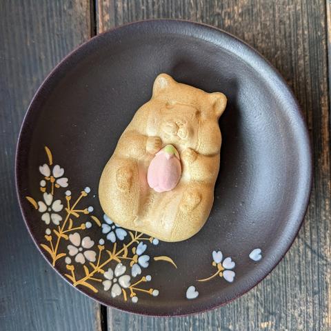 A hamster monaka (wafer) holding a sugar cherry blossom bud.