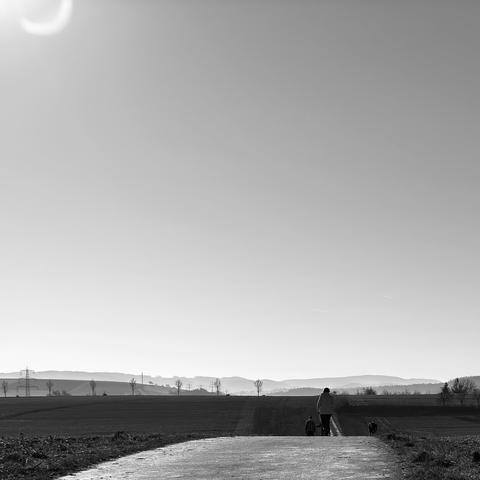 Motiv:
Das Bild zeigt eine weitläufige Landschaft mit einem asphaltierten Weg, der sich in die Ferne erstreckt. Eine einzelne Person mit einer Jacke geht mit einem Hund entlang des Weges. Dahinter zwei weitere. Im Hintergrund sind Felder, vereinzelte Bäume, Strommasten und eine Hügelkette zu sehen.

Stimmung & Wirkung:
Die offene Landschaft und die kleine Silhouette der Personen erzeugen ein Gefühl von Weite und Einsamkeit. Der hohe Himmel betont die ruhige Atmosphäre. Der Weg führt den Blick in die Tiefe und verleiht dem Bild eine starke Perspektive.

Technische Details:
Farbe: Schwarz-Weiß mit starken Kontrasten zwischen Himmel und Landschaft.
Schärfentiefe: Hohe Schärfe mit klar erkennbaren Details im Vordergrund, während die Konturen im Hintergrund sanfter werden.
Lichtverhältnisse: Die Sonne erzeugt eine helle obere Bildhälfte, während der untere Bereich dunkler bleibt. Weiche Schatten verstärken die Tiefe des Motivs.