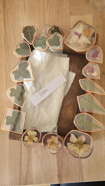 English Glass pendants containing pressed plants (flowers, ferns, ivy) surrounded by a copper border. They are arranged on the edge of a wooden drawer.
•
Français Des pendentifs en verre contenant des végétaux pressés (fleurs, fougères, lierre) entourés d'un liseré cuivré. Ils sont disposés sur le rebord d'un tiroir en bois.