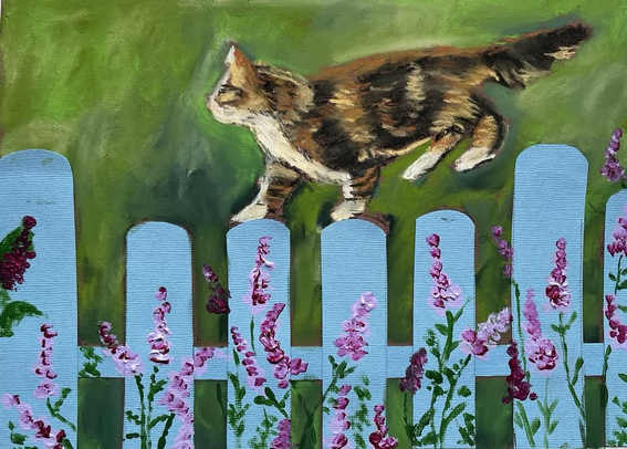 Cat on fence