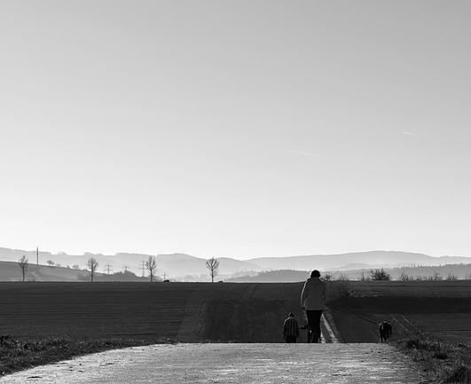 Motiv:
Das Bild zeigt eine weitläufige Landschaft mit einem asphaltierten Weg, der sich in die Ferne erstreckt. Eine einzelne Person mit einer Jacke geht mit einem Hund entlang des Weges. Im Hintergrund sind Felder, vereinzelte Bäume, Strommasten und eine Hügelkette zu sehen.

Stimmung & Wirkung:
Die offene Landschaft und die kleine Silhouette der Person erzeugen ein Gefühl von Weite und Einsamkeit. Der hohe Himmel betont die ruhige Atmosphäre. Der Weg führt den Blick in die Tiefe und verleiht dem Bild eine starke Perspektive.

Technische Details:
Farbe: Schwarz-Weiß mit starken Kontrasten zwischen Himmel und Landschaft.
Schärfentiefe: Hohe Schärfe mit klar erkennbaren Details im Vordergrund, während die Konturen im Hintergrund sanfter werden.
Lichtverhältnisse: Die Sonne erzeugt eine helle obere Bildhälfte, während der untere Bereich dunkler bleibt. Weiche Schatten verstärken die Tiefe des Motivs.