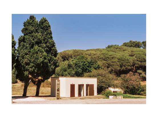 a park situation with a tiny bathroom house and two trees in the foreground, bushes on a hill in the background 