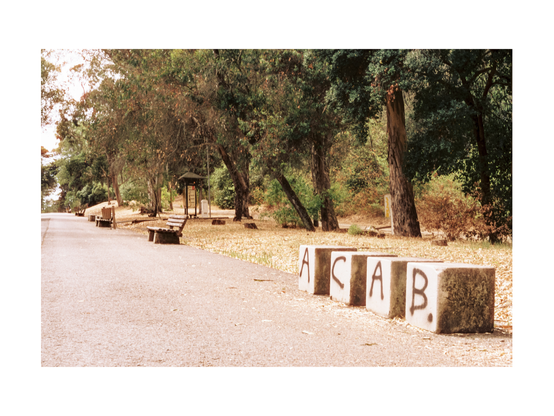 a park situation with a paved road, trees and benches an sitzing stones carrying a message containing the letters a, b and c