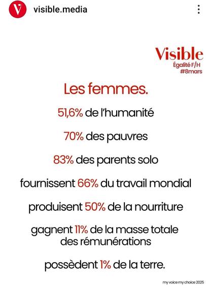 Les femmes
51,6% de lhumanité
70% des pauvres
83% des parents solo
fournissent 66% du travail mondial
produisent 50% de la nourriture
gagnent 11% de la masse totale des rémunérations
 possèdent 1% de la terre,.