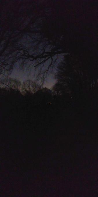 Sombre photo d'un chemin de campagne éclairé par la lune. Ombres d'arbre, et autre bosquet.

Dark shot of a moonlit country lane. Shadows of a tree, and another grove.