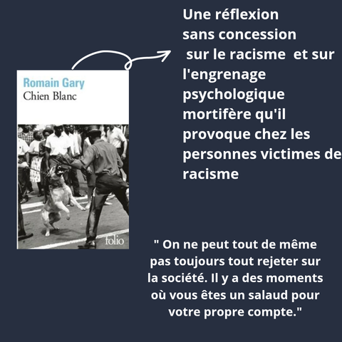 Couverture du livre Chien blanc, avec un berger allemand retenu par une laisse car il menace de mordre un homme noir. Une foule de personnes noires observe la scène.
Une réflexion sans concession sur le racisme et sur l'engrenage psychologique mortifère qu'il provoque chez les victimes de racisme.
Citation : "On ne peut tout de même pas toujours tout rejeter sur la société. Il y a des moments où vous êtes un salaud pour votre propre compte."