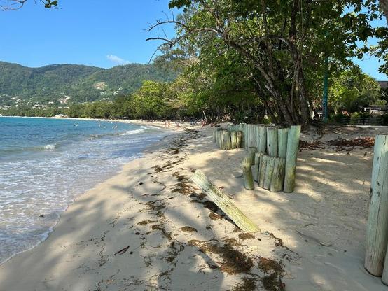 A sandy beach at Beau Vallon beach on Mahé at the Seychelles. Waves roll onto the beach, people bathing in the background. The landscape is hilly and green. In the foreground, wooden poles stand close together in the sand, one has fallen over. 
Photo: Beate Ratter