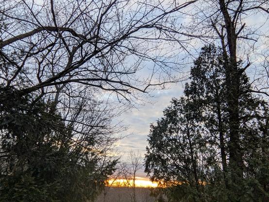 Photo taken through a clearing in the woods, looking east. The sun is just about to rise over a distant ridge. The sky is blue and mottled by clouds. Near the horizon the sky glows orange, gold and yellow.