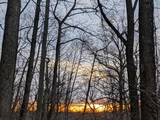 Photo taken through the bare trunks and limbs of trees in the woods, looking east. The sun is just about to rise over a distant ridge. The sky is blue and mottled by clouds. Near the horizon the sky glows orange, gold and yellow.