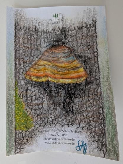 Das Bild zeigt eine handgezeichnete Illustration, die auf einem weißen Blatt Papier präsentiert wird. Im Zentrum ist ein Baumpilz dargestellt, der an einem Baumstamm wächst. Der Pilz hat eine auffällige, mehrfarbige Textur mit Schichten in Gelb, Orange, Braun und einem Hauch von Blau. Er scheint sich vom dunklen, strukturierten Hintergrund des Baumstamms abzuheben.