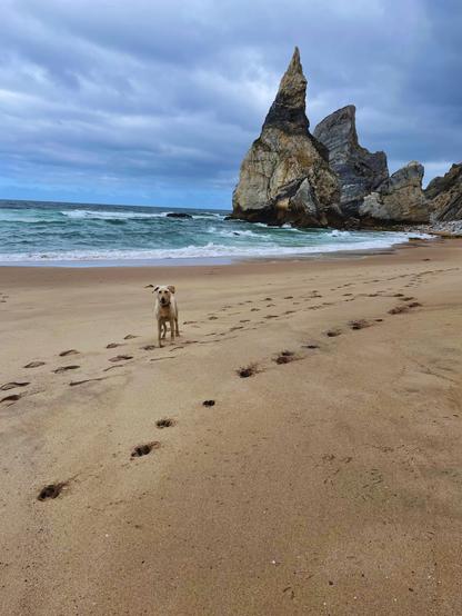 Enjoying a windy day at Praia da Ursa