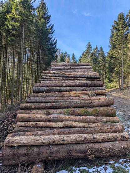 Ein Foto zeigt einen hohen Stapel Baumstämme in einem Wald. Die Stämme sind horizontal gestapelt und bilden eine Art Treppe. Sie sind unterschiedlich dick und haben eine braune Farbe. Einige Stämme weisen Moosbewuchs auf. Im Hintergrund sind hohe, schlanke Nadelbäume zu sehen, die bis in den blauen Himmel reichen. Am Boden liegt etwas Schnee. Links vom Stapel befindet sich ein Haufen kleinerer Äste und Zweige. Der Weg neben dem Stapel ist mit Laub bedeckt.