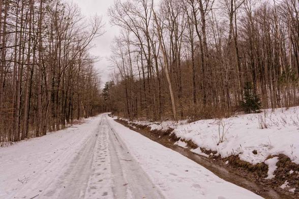 A road pointing away from the camera fills the bottom left with a water filled ditch to the right and a slop with trees with an empty spot to the lower right;  there are trees on the left too.  Tire tracks and footprints are visible in the icy middle and the ground everywhere is covered with snow except for the ditch;  the road makes a turn in the far distance and is hidden by the trees.