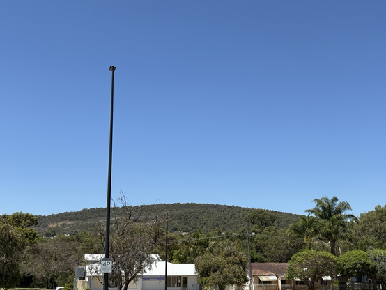 A wide deep blue sky above a deceptively shallow curve of a hill at base. Sky is cut one third from left by a very thin, tall light pole, on the right the top of a palm tree punctuates the curve. Below that the roofs of a line of shops reminds us of the occupying culture while bringing point of interest.