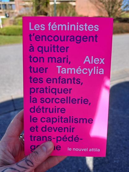 Les feministes t'encouragent à quitter ton mari, tuer dntes enfants, pratiquer la sorcellerie, detruire le capitalisme et devenir trans-pédé-guouine - livre de Alex Tamecylia