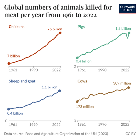 The chart shows increases in the number of slaughtered chickens, pigs, sheep, goats, and cows worldwide between 1961 and 2022.
Die Grafik zeigt, wie die Zahl der weltweit geschlachteten Hühner, Schweine, Schafe, Ziegen und Kühe zwischen 1961 und 2022 steigt.