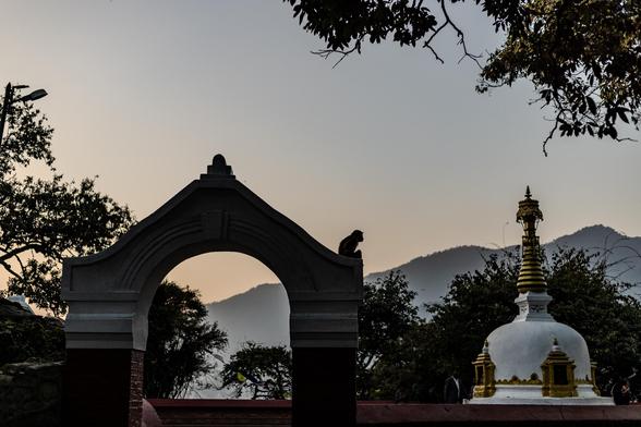 Ein Affe sitzt auf einem Tor, daneben eine kleine Stupa
