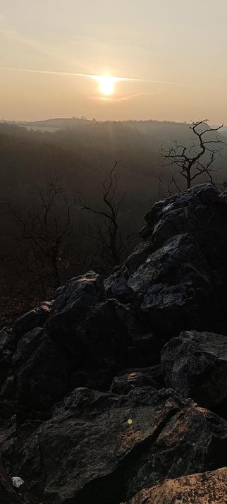 sunset in the woods