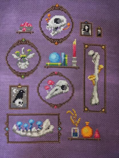 A completed cross stitch piece with various frames showing bones and fungi, along with portraits, and shelves with various items on them.
