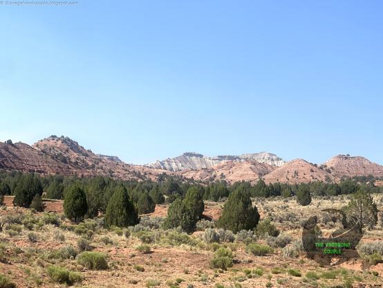 Kodachrome Basin State Park is named after Kodachrome film,  produced by Kodak, renowned for its vibrant and rich color reproduction. The name was suggested in 1948 by a National Geographic Society expedition team struck by the park’s stunning and varied colors. Kodak initially objected to the use of the name, they eventually granted permission. Read more: https://thevagabondcouple.blogspot.com/2024/07/moab-red-canyon-kodachrome-basin-grosvenor-arch-grand-staircase-escalante-kanab-utah.html

The Grand Staircase-Escalante National Monument is fascinating, and desolate!

#VagabondCouple #kodachrome #kodachromebasin #grandstaircaseescalante #grandstaircase #roadtripusa #roadtrip #overland #overlanding #travel #travelblogger #traveltheworld #Utah #kanabutah #moabutah #MoabMagic #MoabAdventure