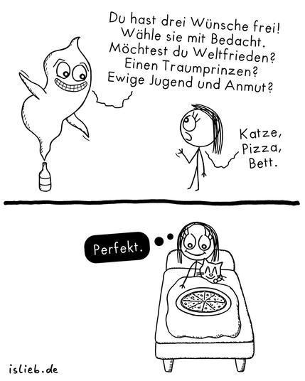Comic. Ein Flaschengeist sagt zu einer Frau: "Du hast drei Wünsche frei! Wähle sie mit Bedacht. Möchtest du Weltfrieden? Einen Traumprinzen? Ewige Jugend und Anmut?" Sie antwortet: "Katze, Pizza, Bett" Kurz darauf sitzt sie mit Katze und Pizza im Bett und denkt: "Perfekt."