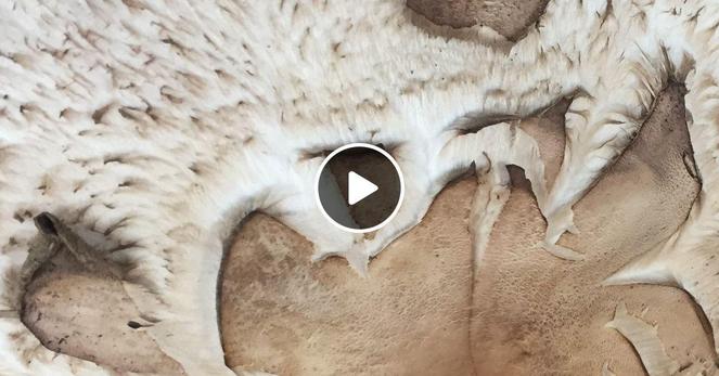 The Institute of Spectra-Sonic Sound is a weekly show featuring the latest in sound art, dark ambient, experimental, drone, noise, and musique concrete.
