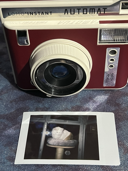 Photo of my new red and white Lomo Instant Automat camera and the first photo I took with it, showing my mostly white long-haired cat Juliette on her cat tower, looking slightly startled due to the flash.