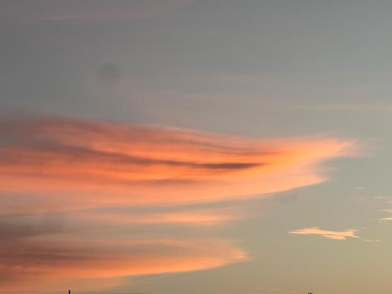 An orange/white cloud with the texture of a feather in the morning sky. 