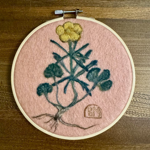 Needle felted botanical style buttercup on pink background, framed in an embroidery hoop.
