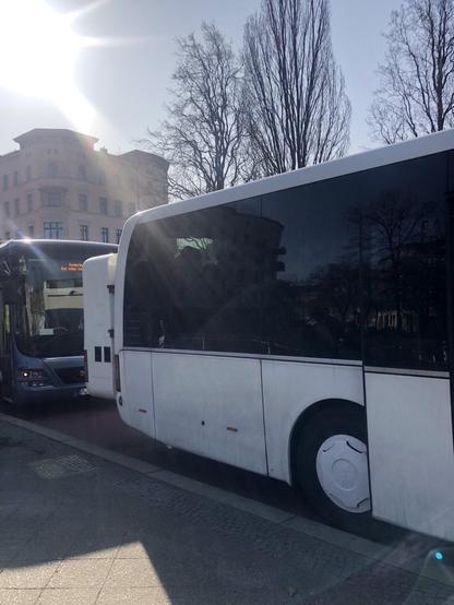 A sunny day. In the foreground there are two buses. A blue and a white. In the background there are trees without leaves (winter) and an orange house.