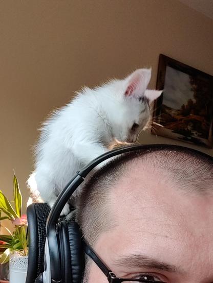 found a flea on your head; I told you I'm not the only one with fleas.