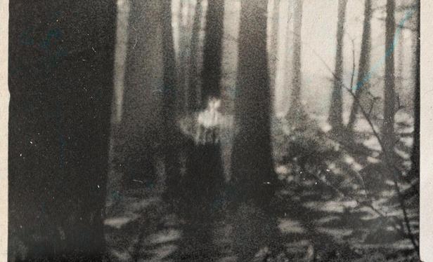 Close- up, grainy black & white shot of sunlight through trees with a little sun glare artefact that resembles a fairy ballerina