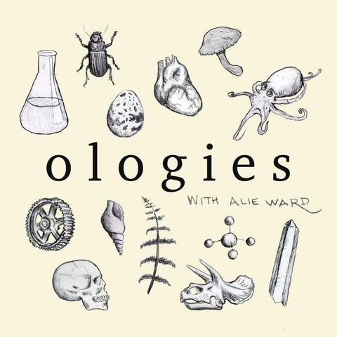 Logo of the 'Ologies' podcast. Pale yellow back ground with a selection of pencil sketched items representing various studies. A metal cog, a human skull, glass beaker, black beetle, anatomically correct heart,a bird egg, etc.