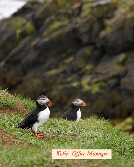 Photograph of two Atlantic puffins standing on a grassy hillside with a rocky, moss-covered cliff in the background. The puffins have black and white plumage, bright orange beaks, and matching orange webbed feet. One puffin stands closer to the foreground while the other is slightly behind. At the bottom of the image, a text overlay in an elegant orange font reads, 'Katie - Office Manager.