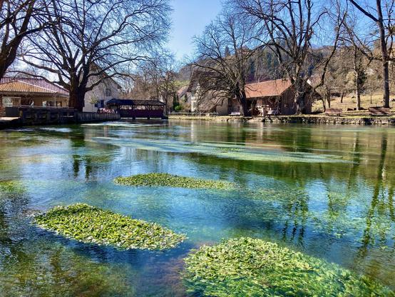 Blick in Fliessrichtung der Aach. Im klaren Wasser wächst saftiges Grün. Am linken Bildrand ein kleiner Biergarten.