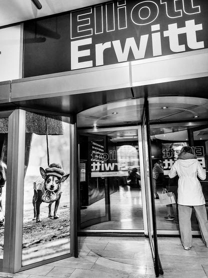 Entrée de l'exposition Elliott Erwitt, avec la photo iconique d'un petit chien à chapeau