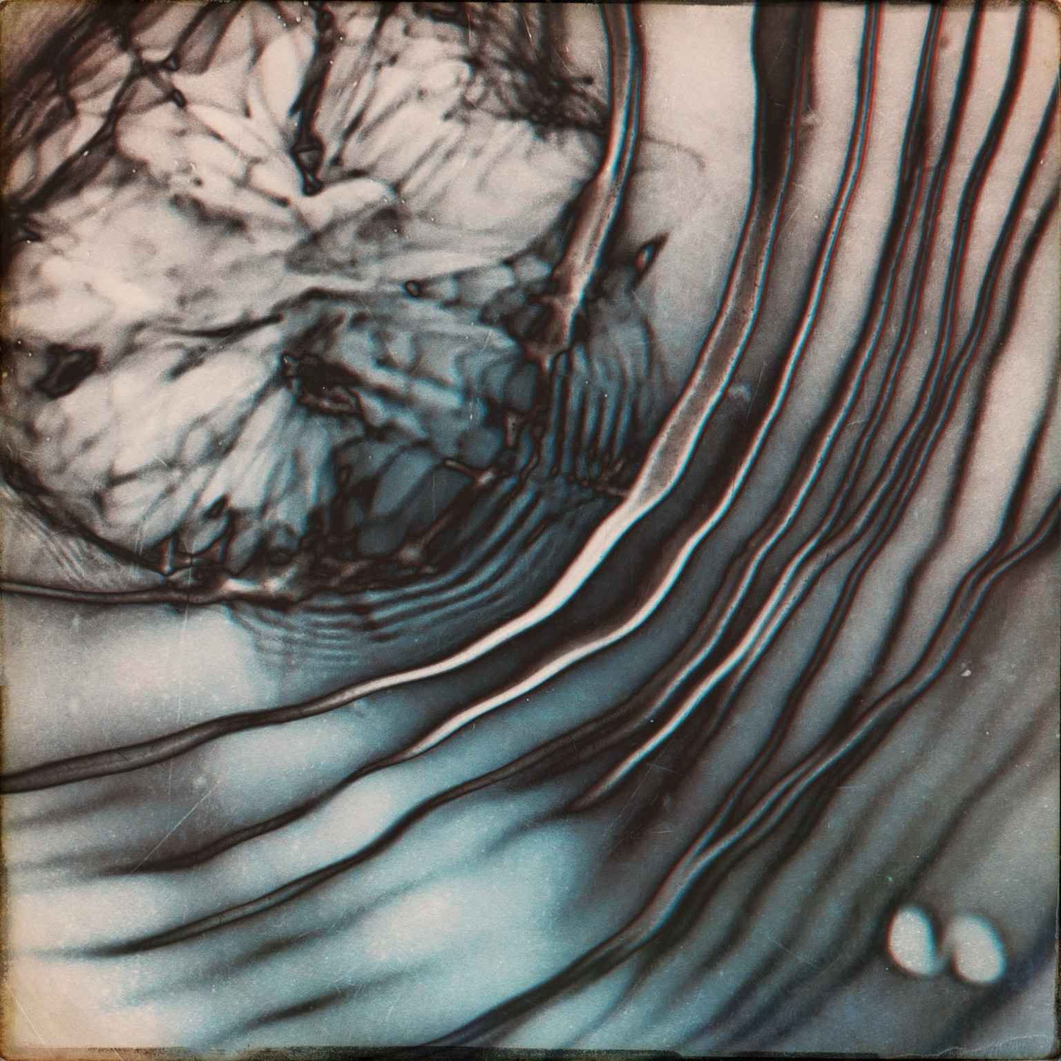 Reflets et mouvements à la surface de l’eau