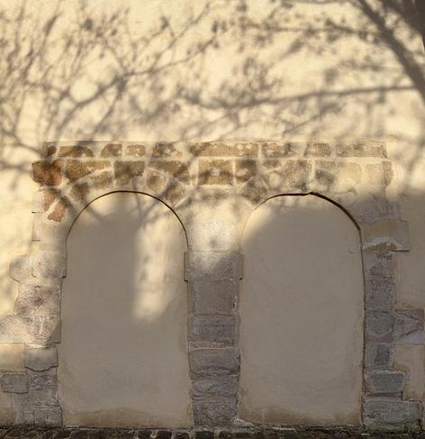 Two solid doors with a visible stone frame. The wall displays the shadow of two trees that seem to emerge from the doors.