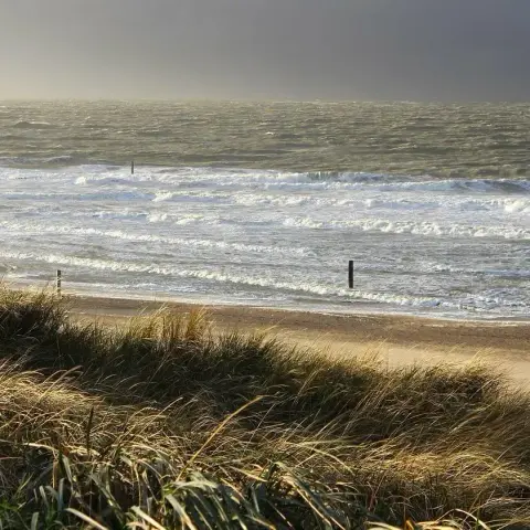 🏖️🌊 Domburg Strand: Wo die Nordsee zum Entdecken lädt!