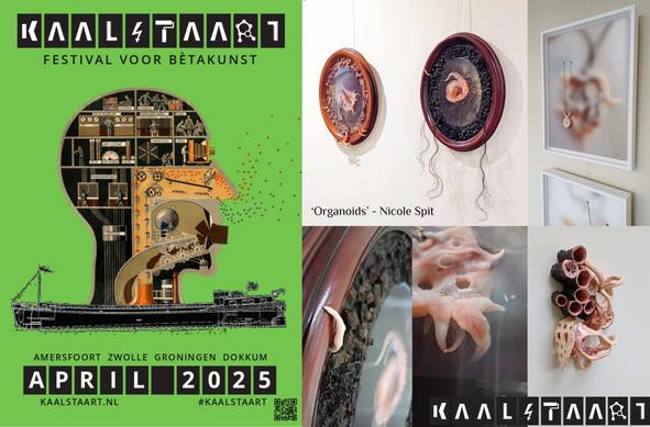 Affiche van Kaalstaart festival voor bètakunst in april 2025. met kunstobjecten uit het 'organoid' project van Nicole Spit. (Organoids zijn weefselkweekmodellen voor medisch onderzoek)