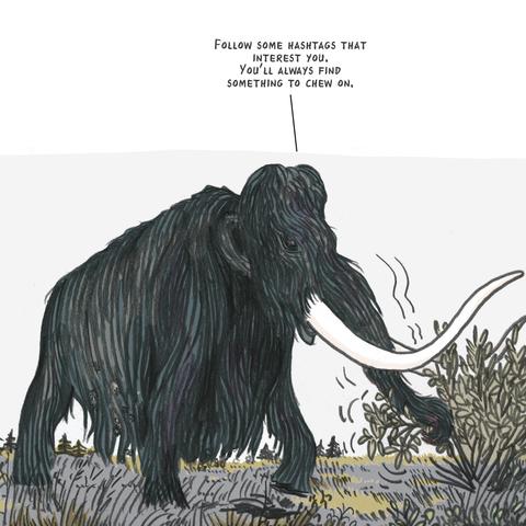 Top right: Mastodon says “Follow some hashtags that interest you. You’ll always find something to chew on.”