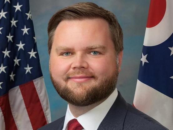 Official Portrait of JD Vance in front of some Flags, the Face has obviously been edited to a Babyface.