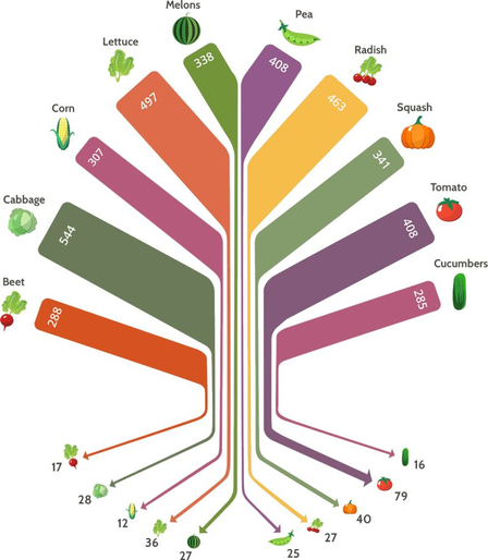 Since 1900, we've lost 75% of our global food crop varieties—the most rapid extinction of agricultural genetics in human history. Meanwhile, the US lost 93% of vegetable varieties between 1903-1983. 

This represents one of the greatest threats to agricultural resilience, yet remains inadequately addressed in policy discussions.

The mechanisms of genetic erosion are well-documented. High-yield commercial varieties have displaced 85% of traditional landraces post-1960. Monoculture systems now dominate 80% of global cropland for just 12 plant species. 