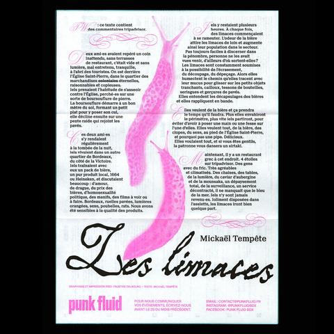 Page extérieure de l'agenda papier Punk Fluid, événements musicaux bordelais. Graphisme : Faustine Delbourg - Texte : Mickaël Tempête