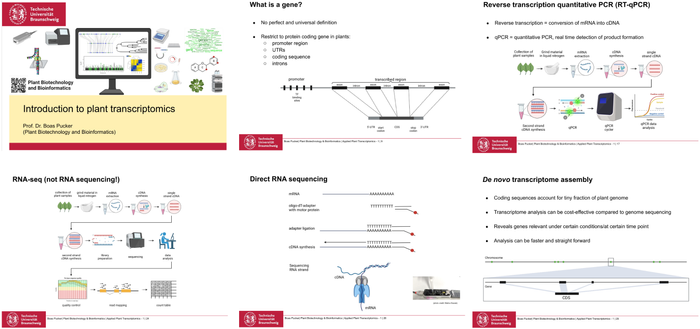 Screenshots of Appplied Plant Transcriptomics slides. Slides & resources: https://github.com/bpucker/AppliedPlantTranscriptomics