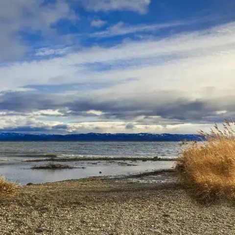 🏖️🌄 Bodensee-Strände: Wo die Alpen im Wasser spiegeln!