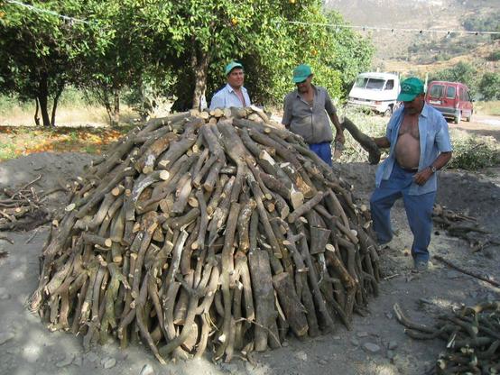 Espagne des montagnes semi-désertiques. Derrière la ferme, les véhicules sont garés sous les petits arbres alourdis d’oranges. Trois hommes âgés, chemises ouvertes sur leurs gros ventres couverts de poils grisonnants, casquettes vertes sur des têtes aux visages burinés souriants. Sur une surface de sol aplanie, ils posent une à une de petites bûches de bois sec, formant un dôme d’un mètre cinquante de haut et trois de diamètres. La terre brune jetée à la pelle finit de former le beau tertre bien rond. Les familles ont rejoint les hommes. Sur un petit feu allumé non loin de la charbonnière, on fait griller des tranches de lard, on ouvre des bouteilles d’un vin rouge local, épais et terreux. Puis le maître charbonnier monte sur la grosse bosse de terre et jette quelques bâtonnets enflammés par la cheminée qu’il couvre en partie d’une planche de bois. Plusieurs longues minutes où rien ne semble se passer, sinon quelques crépitements étouffés et craquements souterrains. Puis tout le petit monde sourit, les premières fumées lourdes et odorantes sortent de la charbonnière par la cheminée et les évents latéraux. Les hommes resteront cinq jours et cinq nuits à surveiller les flammes intérieures. Le charbon pour bien se faire a besoin de temps.