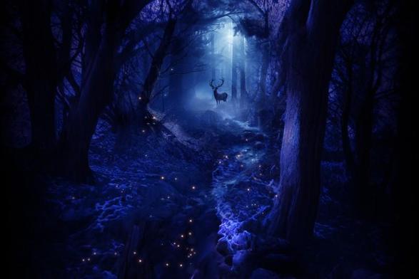 A deer in a blueish forest looks at the viewer. It is a dark, mystique atmosphere. Small dots of yellow light can be seen on the path leading up to the deer. This is a composite of several photographs made by the photographer. There is more background on the image in the recording from the webinar.